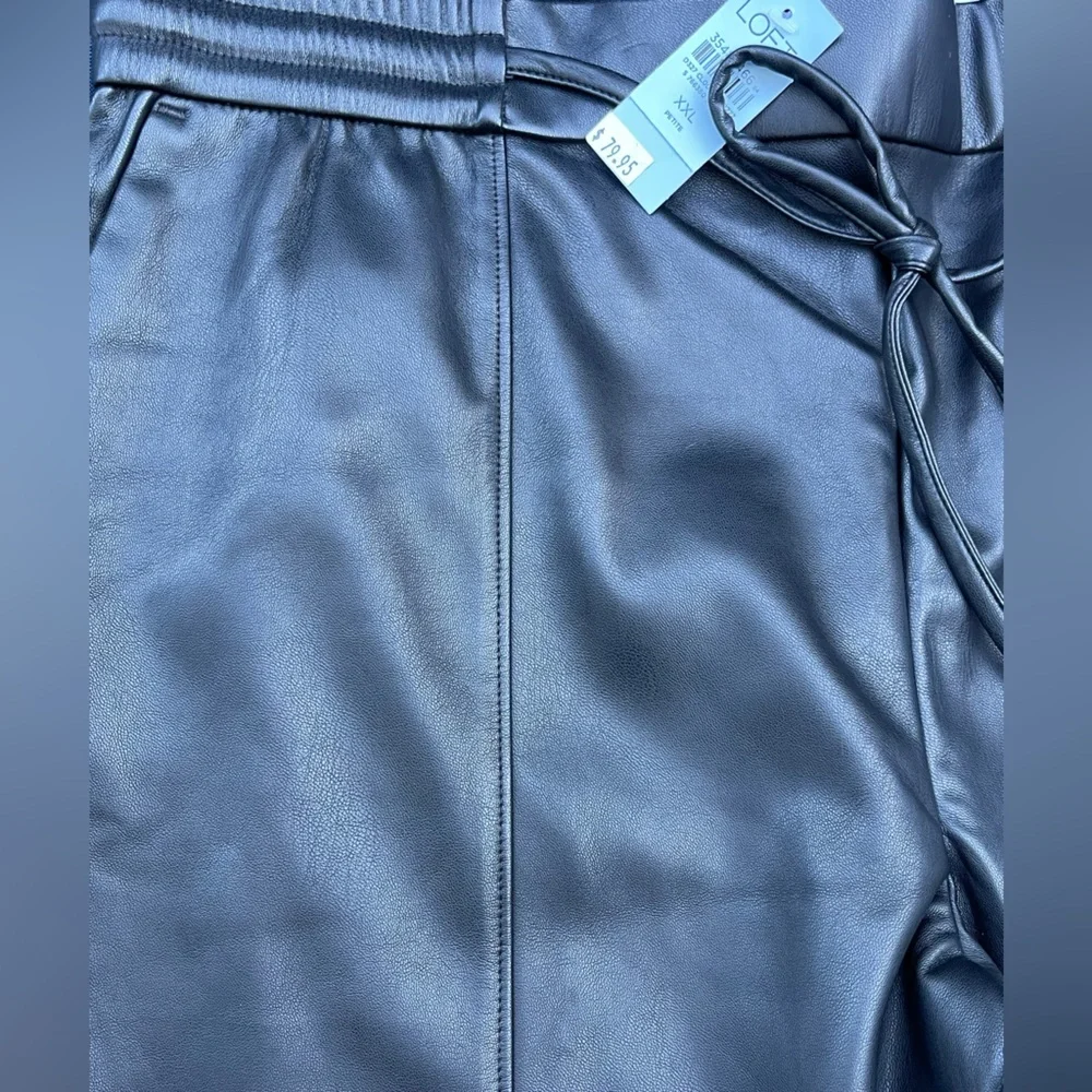 🖤🔥NWT Ann Taylor LOFT size 16P faux leather pants.  Perfect for Fall. Stylish! - Picture 5 of 8